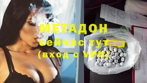 стаф Алзамай