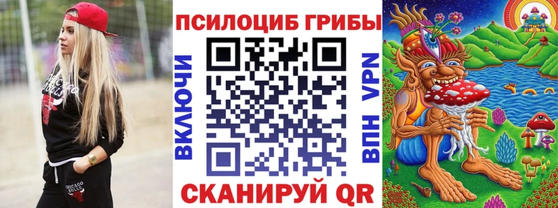 даркнет наркотические препараты где продают Омск Галлюциногенные грибы Cubensis